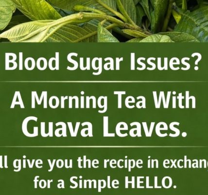 Benefits, Properties, and How to Prepare This Powerful Herbal Drink Benefits, Properties, and How to Prepare This Powerful Herbal Drink