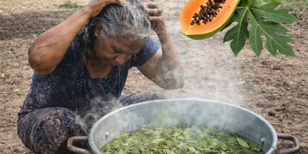 https://blogtamtu123.blogspot.com/2026/03/papaya-leaf-enzyme-for-hair-growth.html