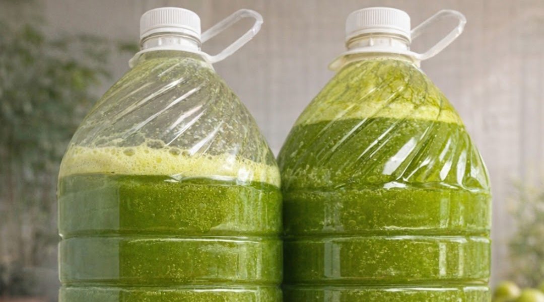 Cucumber, Green Apple & Chayote for Natural Weight Loss and Digestion Support