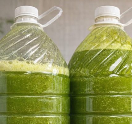 Cucumber, Green Apple & Chayote for Natural Weight Loss and Digestion Support Cucumber, Green Apple & Chayote for Natural Weight Loss and Digestion Support
