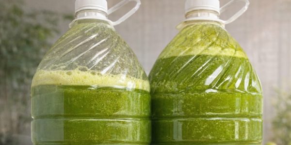 Cucumber, Green Apple & Chayote for Natural Weight Loss and Digestion Support Cucumber, Green Apple & Chayote for Natural Weight Loss and Digestion Support
