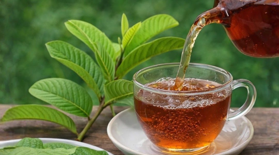 🌿 Natural Leaves That May Help Support Healthy Blood Sugar Levels