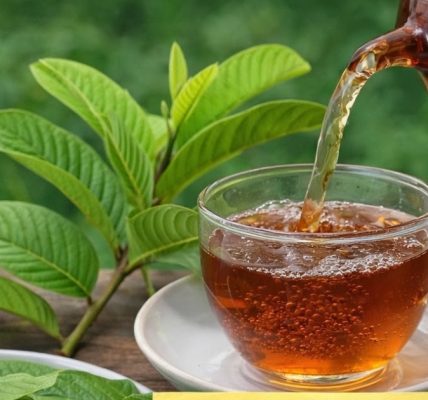 🌿 Natural Leaves That May Help Support Healthy Blood Sugar Levels 🌿 Natural Leaves That May Help Support Healthy Blood Sugar Levels