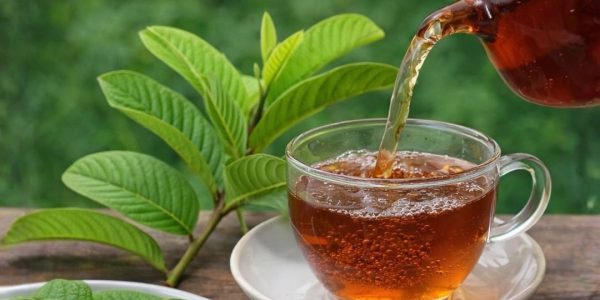 🌿 Natural Leaves That May Help Support Healthy Blood Sugar Levels 🌿 Natural Leaves That May Help Support Healthy Blood Sugar Levels