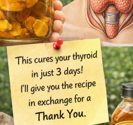 Natural Support for Thyroid Health Natural Support for Thyroid Health