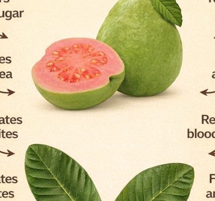 Benefits, Uses, and How to Prepare This Powerful Natural Drink
