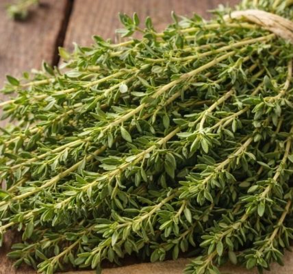 A Natural Remedy to Relieve Cough, Bronchitis, and Congestion A Natural Remedy to Relieve Cough, Bronchitis, and Congestion