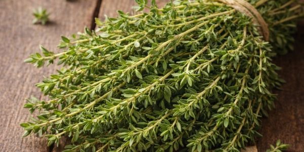 A Natural Remedy to Relieve Cough, Bronchitis, and Congestion