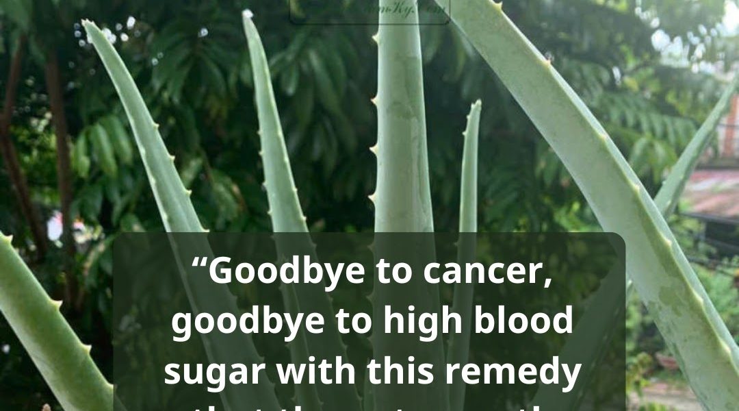 A Natural Detox Beverage for Blood Sugar Support and Wellness A Natural Detox Beverage for Blood Sugar Support and Wellness