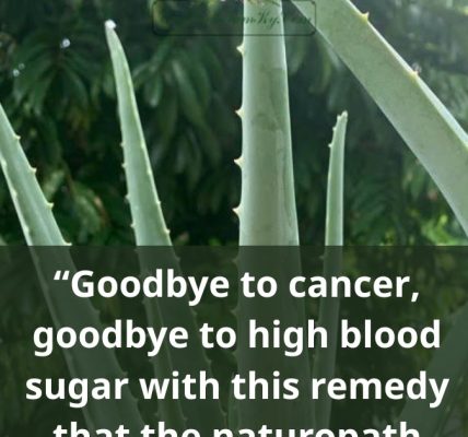 A Natural Detox Beverage for Blood Sugar Support and Wellness A Natural Detox Beverage for Blood Sugar Support and Wellness