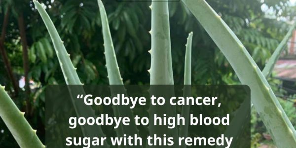 A Natural Detox Beverage for Blood Sugar Support and Wellness