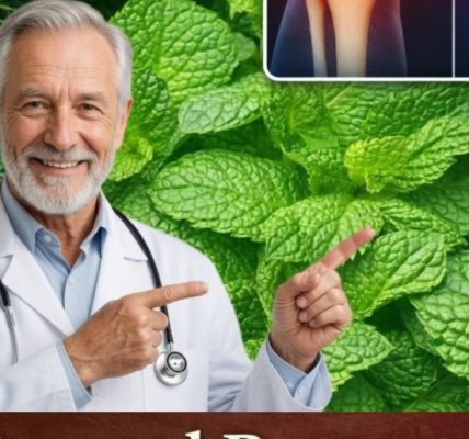A Natural Secret to Support Cartilage and Ease Joint Discomfort