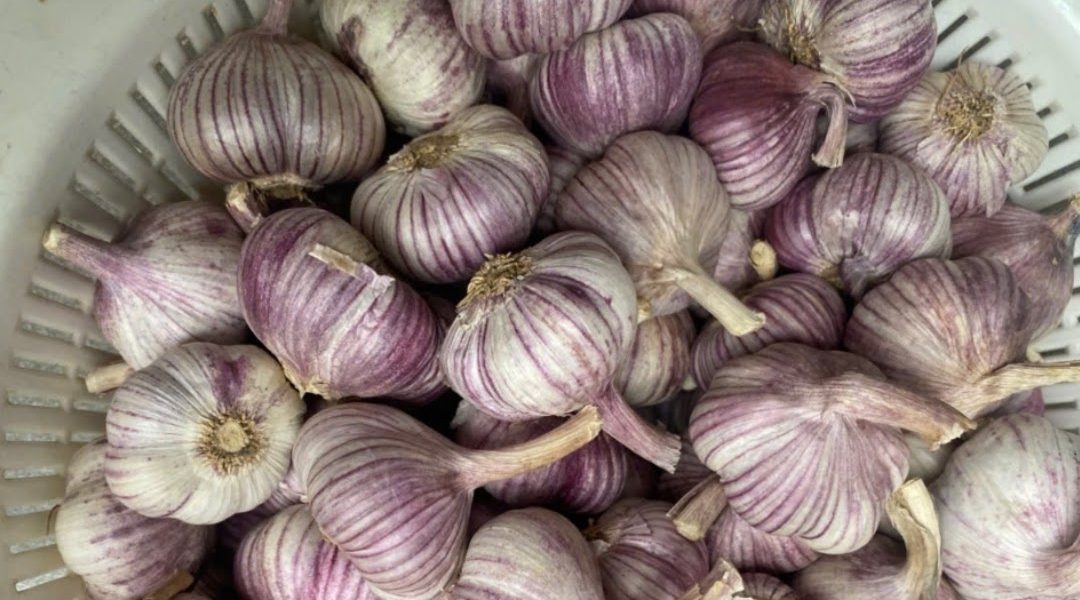 A Natural and Effective Remedy (Athlete’s Foot & Nail Fungus)