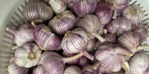 A Natural and Effective Remedy (Athlete’s Foot & Nail Fungus) A Natural and Effective Remedy (Athlete’s Foot & Nail Fungus)
