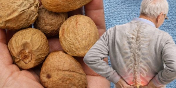 Avocado Seed Remedy for Joint Pain: A Natural Anti-Inflammatory Solution Avocado Seed Remedy for Joint Pain: A Natural Anti-Inflammatory Solution