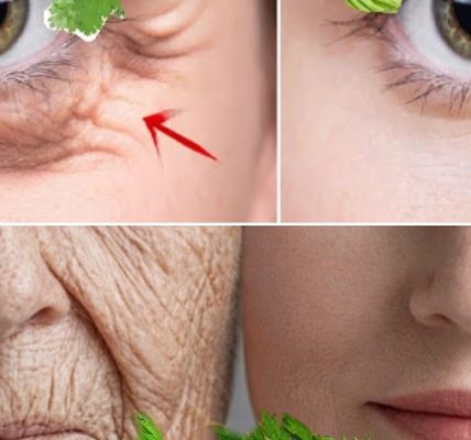 Discover Japan’s Latest Anti-Aging Secret Taking the World by Storm! 🌿