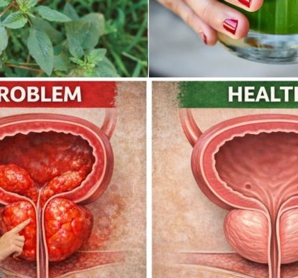 The Powerful Natural Remedy Every Man Should Know (March 22, 2026)