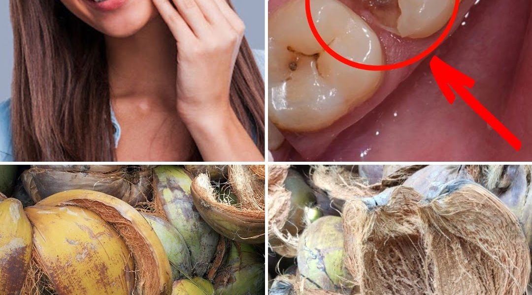 The Surprising Power of Coconut Husks The Surprising Power of Coconut Husks