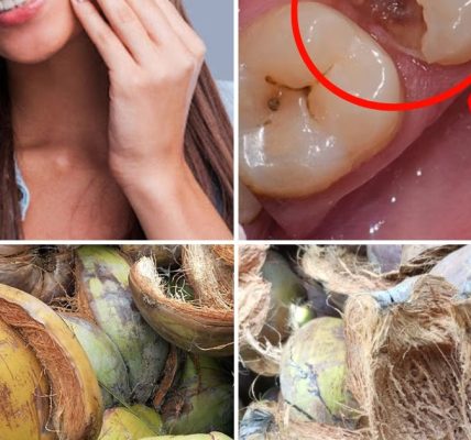 The Surprising Power of Coconut Husks The Surprising Power of Coconut Husks