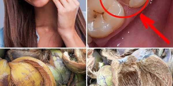 The Surprising Power of Coconut Husks The Surprising Power of Coconut Husks