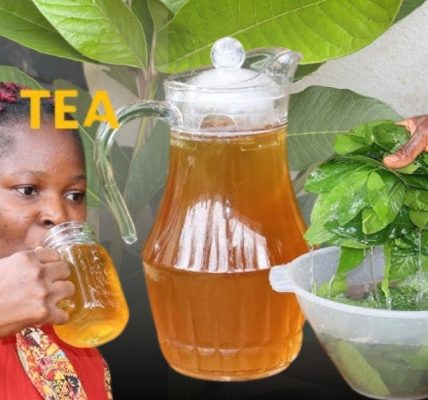 If You Regularly Drink Guava Leaf Tea, You May Never Suffer From These Common Health Issues
