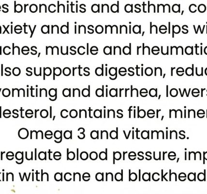 Powerful Medicinal Herb Benefits, Uses, and Truth You Need to Know