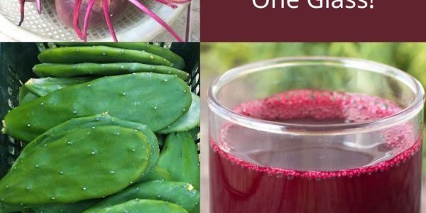 “This Miracle Juice Transformed My Dad’s Life in Just One Glass! 🍹🌿” “This Miracle Juice Transformed My Dad’s Life in Just One Glass! 🍹🌿”