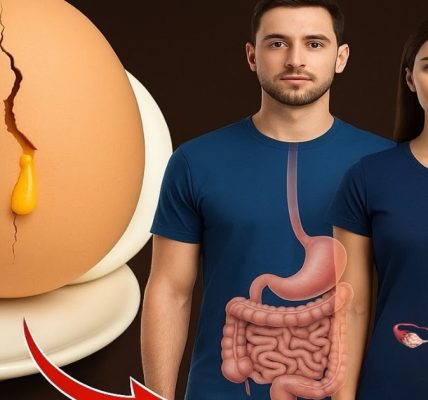 When You Start Eating 2 Eggs Every Day, Here’s What Happens to Your Body (Is It Bad?) When You Start Eating 2 Eggs Every Day, Here’s What Happens to Your Body (Is It Bad?)