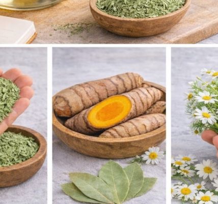 🌿 The Simple Herbal Drink That Helped Restore Energy and Balance Naturally