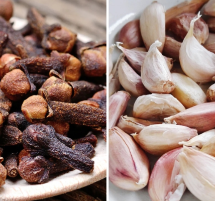 A Time-Tested Natural Remedy for Wellness