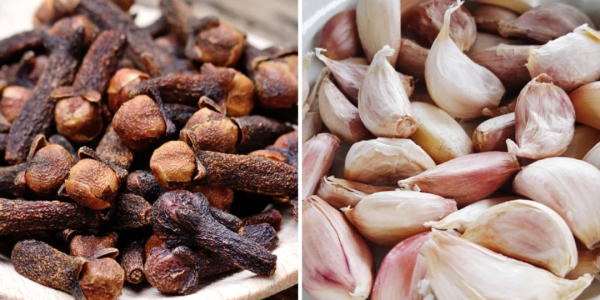 A Time-Tested Natural Remedy for Wellness A Time-Tested Natural Remedy for Wellness