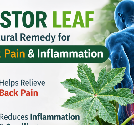 10 Surprising Health Benefits of Castor Oil You Should Know