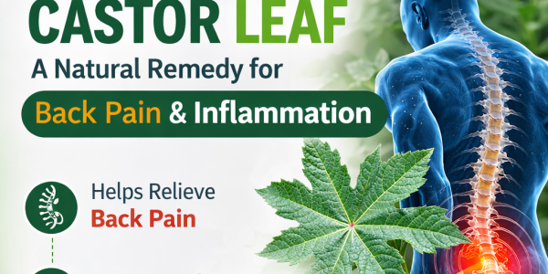 10 Surprising Health Benefits of Castor Oil You Should Know 10 Surprising Health Benefits of Castor Oil You Should Know