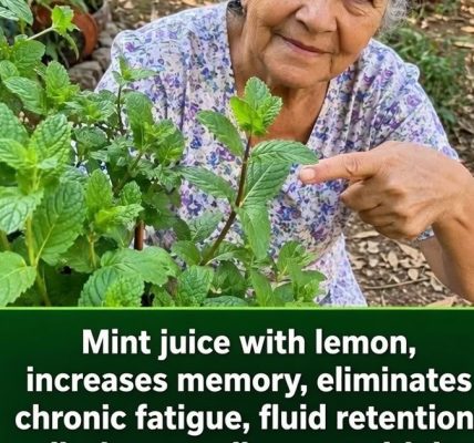 A Refreshing Natural Drink for Digestion, Detox, and Energy