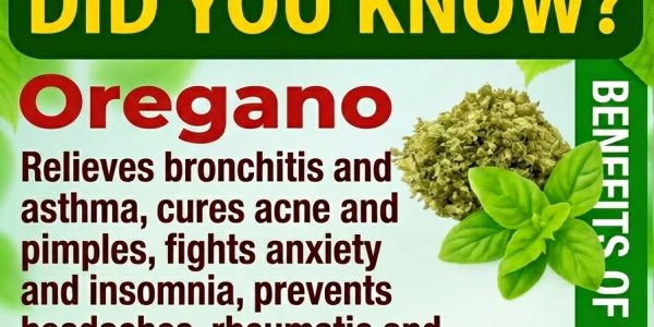 If You Have This Plant at Home, You’re Sitting on a Hidden Treasure (And Didn’t Even Know It)