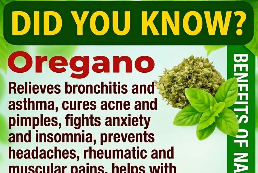 If You Have This Plant at Home, You’re Sitting on a Hidden Treasure (And Didn’t Even Know It) If You Have This Plant at Home, You’re Sitting on a Hidden Treasure (And Didn’t Even Know It)