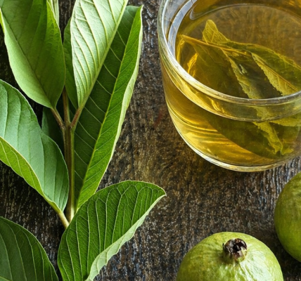 A Natural Remedy for Fertility, Blood Sugar, and Overall Health A Natural Remedy for Fertility, Blood Sugar, and Overall Health