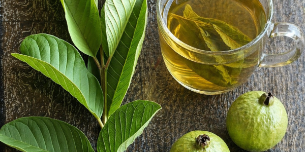 A Natural Remedy for Fertility, Blood Sugar, and Overall Health A Natural Remedy for Fertility, Blood Sugar, and Overall Health