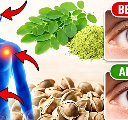 Recover Your Vision Naturally with These 4 Powerful Moringa Recipes Recover Your Vision Naturally with These 4 Powerful Moringa Recipes