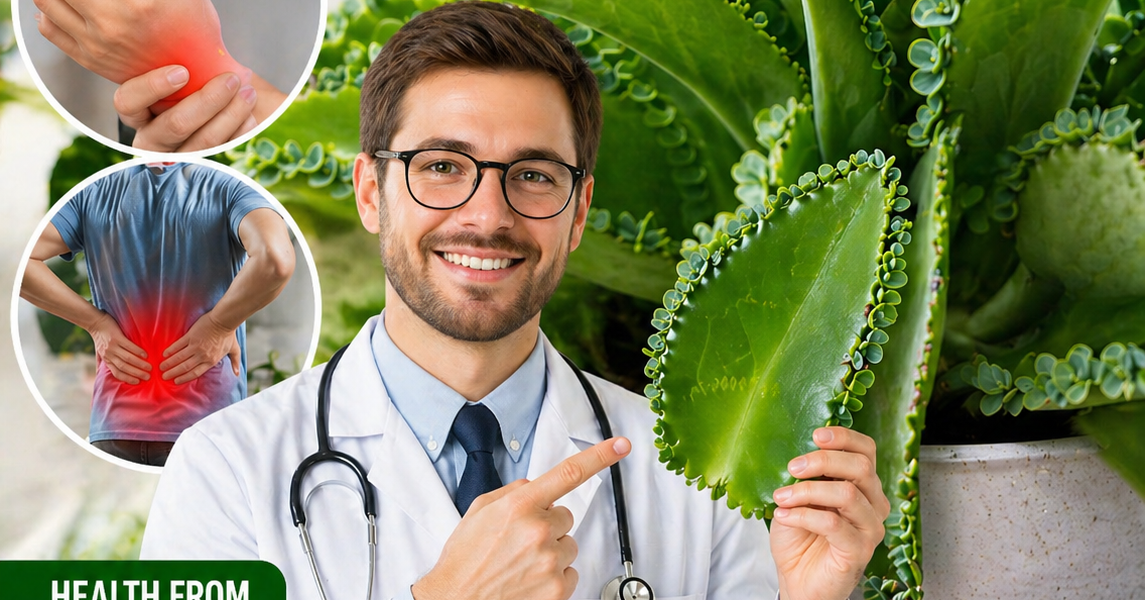 7 Practical Uses and Care Tips to Enjoy This Easy Indoor Plant