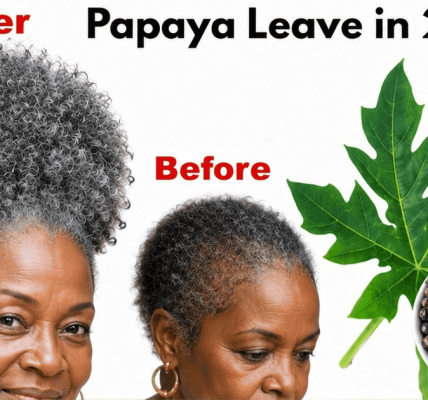 Most Women Over 50 Don’t Know This About a Simple Papaya Leaf Rinse