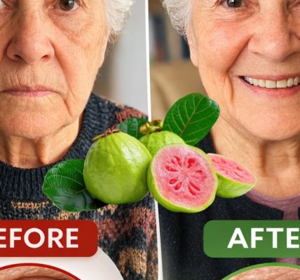 Could 3 Tiny Seeds and Guava Support Your Eye Health Naturally?