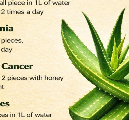 Step-by-Step Guide to Preparing This Powerful Natural Health Drink Step-by-Step Guide to Preparing This Powerful Natural Health Drink