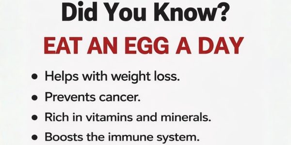 What Happens to Your Body If You Eat Eggs Every Day? What Happens to Your Body If You Eat Eggs Every Day?