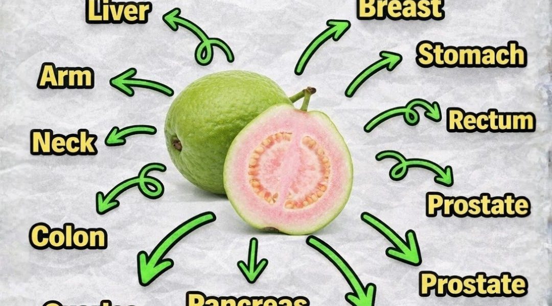 https://blogtamtu123.blogspot.com/2026/04/guava-leaf-tea-benefits-properties-and_16.html