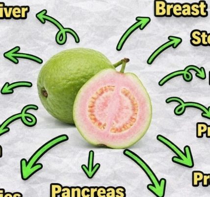 https://blogtamtu123.blogspot.com/2026/04/guava-leaf-tea-benefits-properties-and_16.html