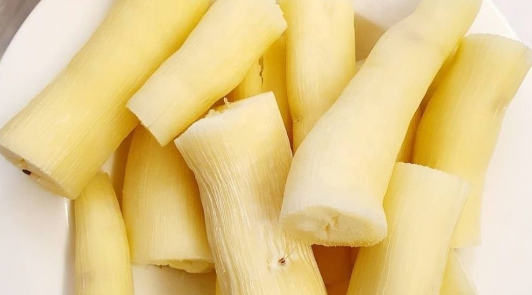 What Doctors Reveal About Eating Cassava and Its Effects on Health