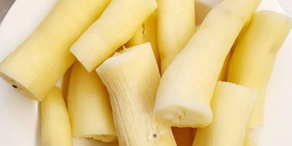 What Doctors Reveal About Eating Cassava and Its Effects on Health What Doctors Reveal About Eating Cassava and Its Effects on Health