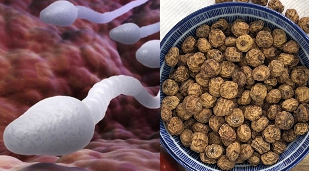 Natural Remedy That May Improve Male Fertility