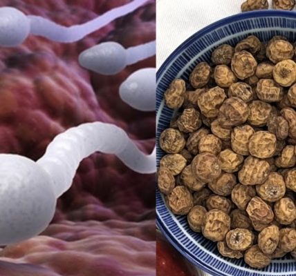 Natural Remedy That May Improve Male Fertility Natural Remedy That May Improve Male Fertility